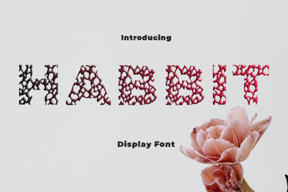 Habbit: A Modern Font for Bold, Clean Design